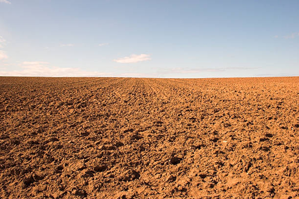 img of Heavy Dirt