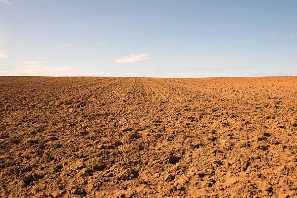 img of Heavy Dirt