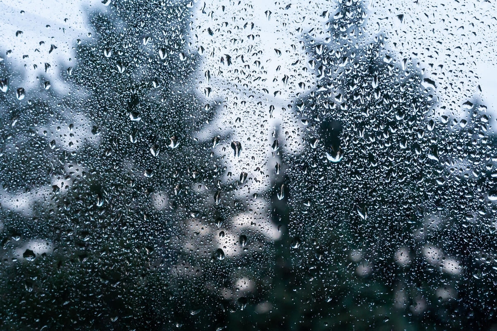 img of Rain, Regardless