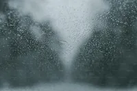 img of Why So Blue?